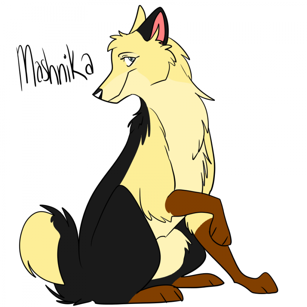 Mashnika