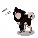 another obnoxious doge