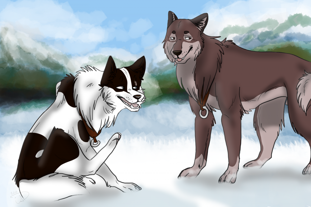 sled dawg