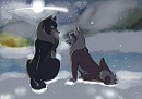 fluffy butts