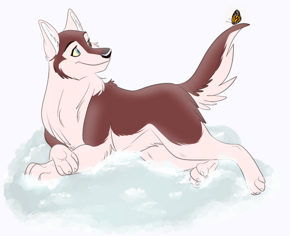 butterdog
