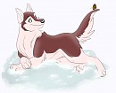 butterdog
