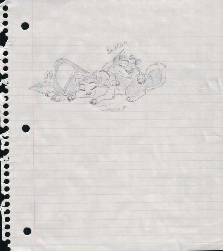 Asleep Sketch