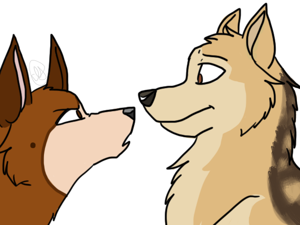 Yo Dog