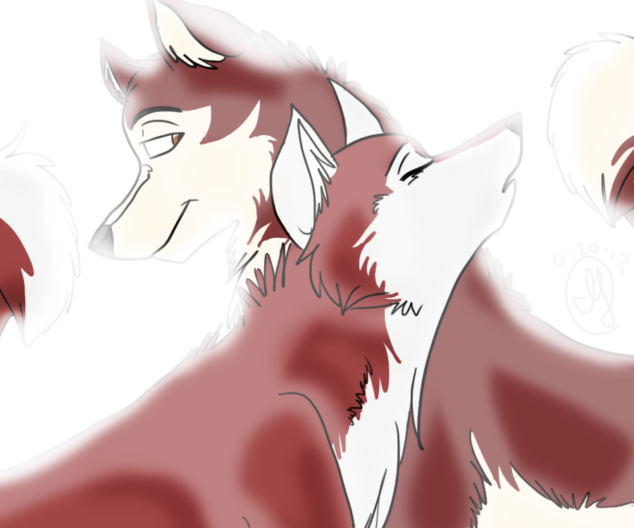 What is it Like to Be a Wolfdog?