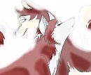 What is it Like to Be a Wolfdog?