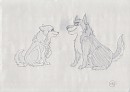 Jenna x Niju Sketch