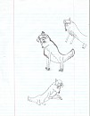 First wolves I ever drew