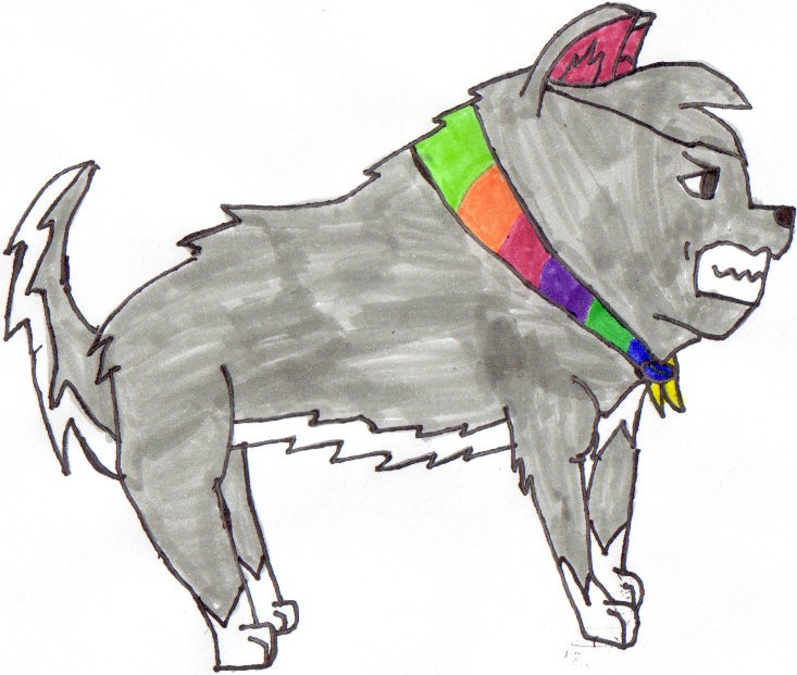 impoving on the wolves and dogs