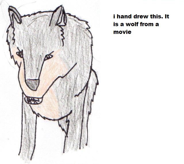 Wolf from movie