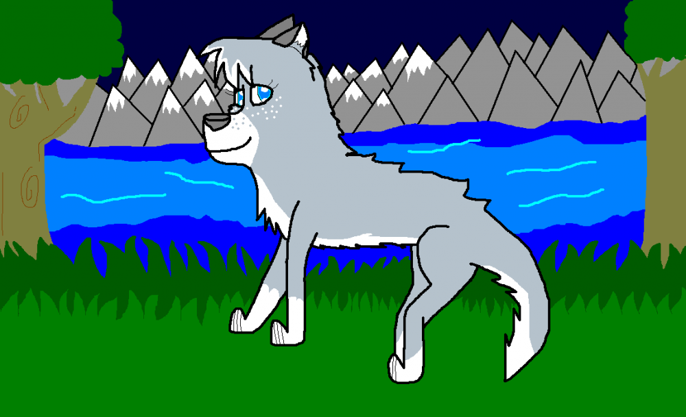 A pretty gray and white wolf