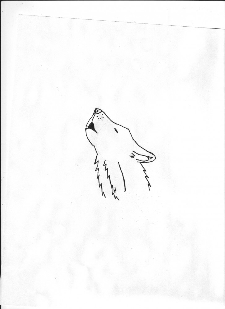 Wolf Howling 
