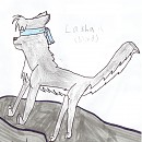 Lasha ( blind)