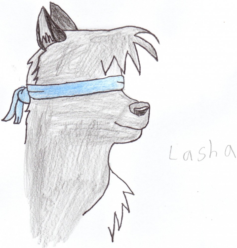 Lasha face