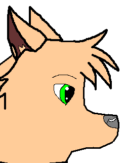 Skates icon 