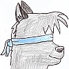 Lasha icon