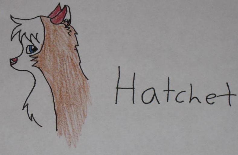Hatchet again