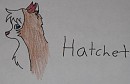 Hatchet again