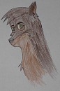 Mountaincall drawing