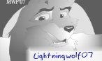 Lightningwolf07