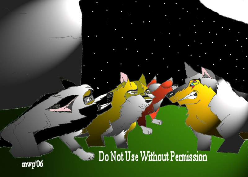 Wolf Pack at night