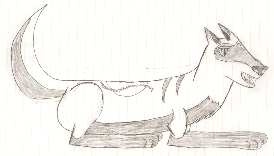 Rio laying.