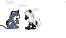 salt and pepper
