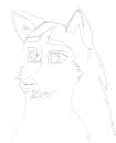 From balto 1