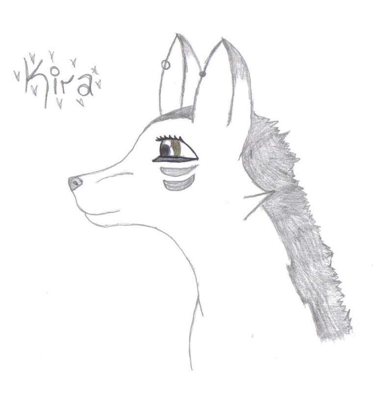 This is Kira !!!