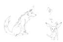 A Noname wolf and pae..