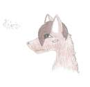 This is Thorn ~~~~!!!!~~~~