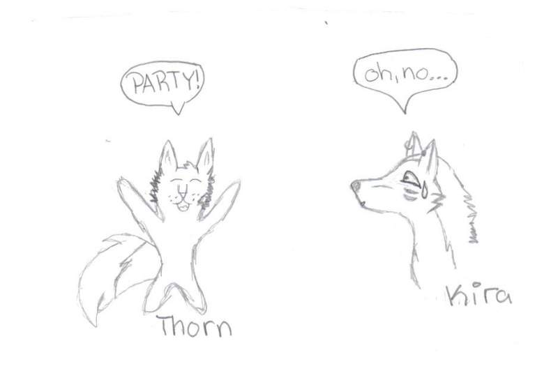 This is thorn having a party ~~