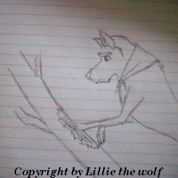 Balto sketch