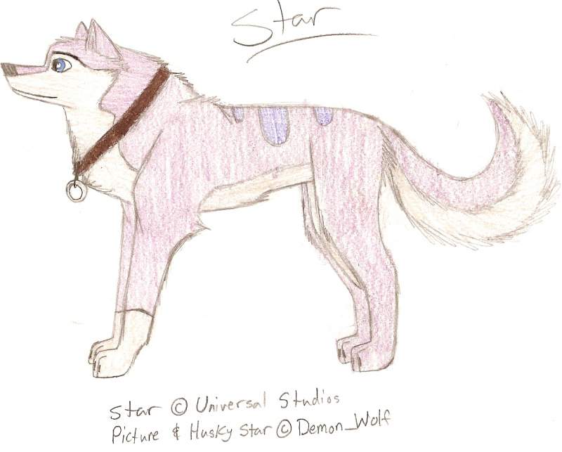 New Star