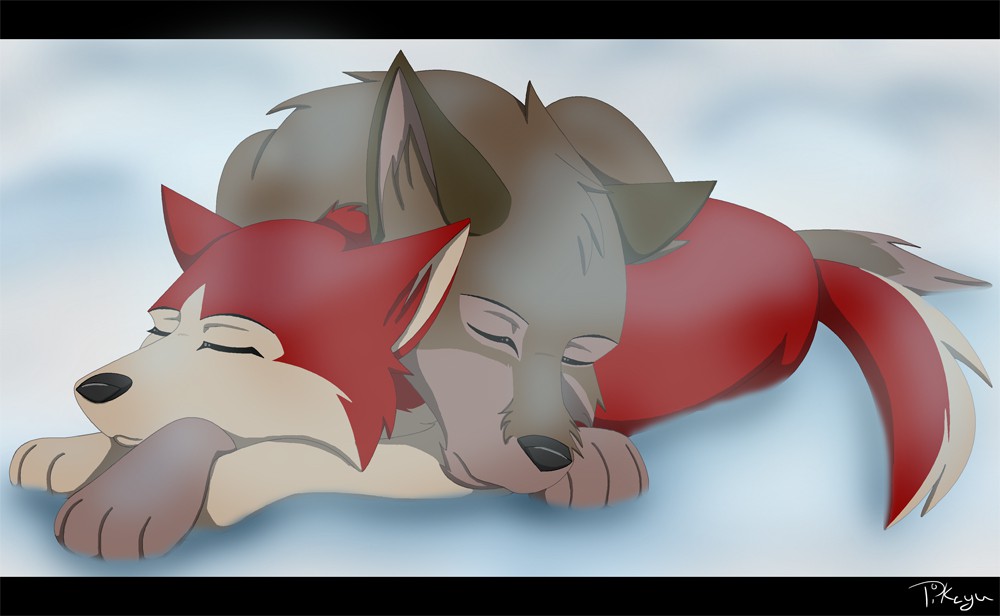 Sleeping in the Snow
