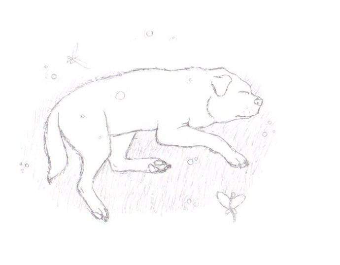 Good Night's Sleep sketch