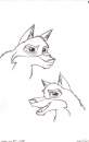 My 1st Balto