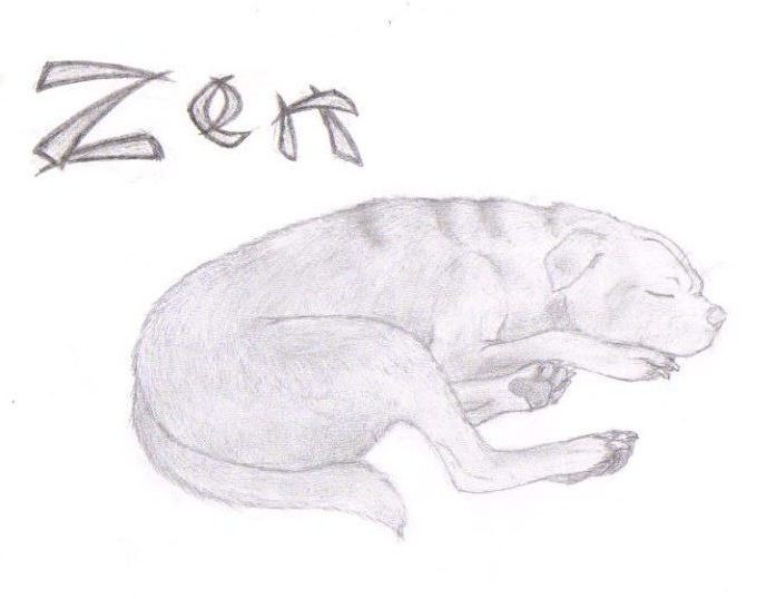Zen