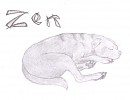 Zen