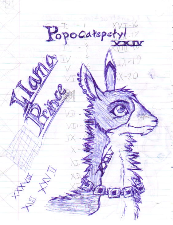 Llama Prince Popocatepetyl 24th