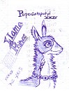Llama Prince Popocatepetyl 24th