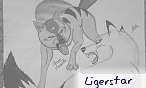 Ligerstar
