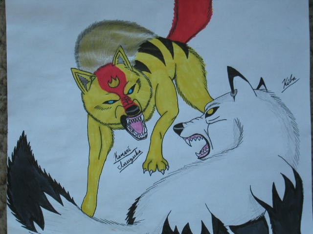 Fight