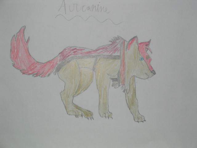 Arcanine