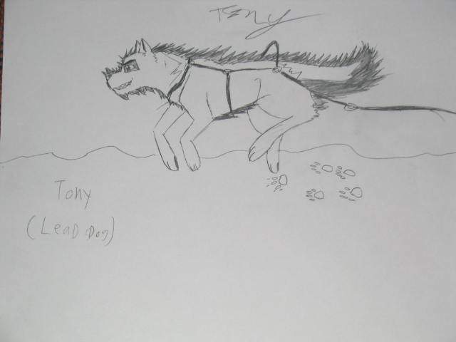 Tony