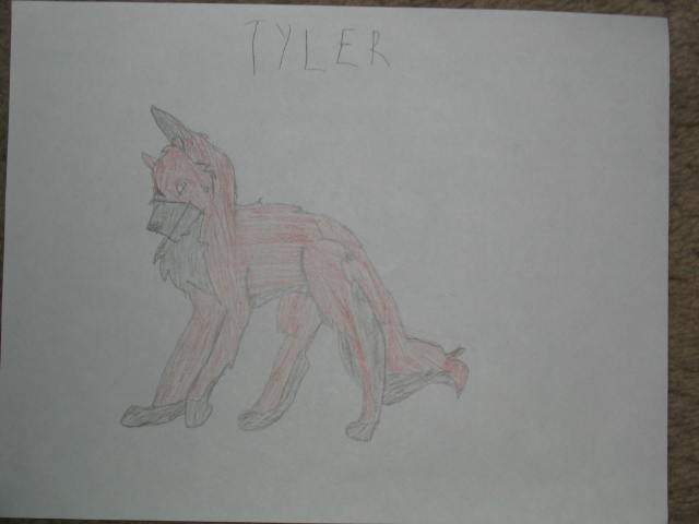 2nd place winner 4 Arcanine and Kaya need a mate c