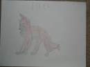 2nd place winner 4 Arcanine and Kaya need a mate c