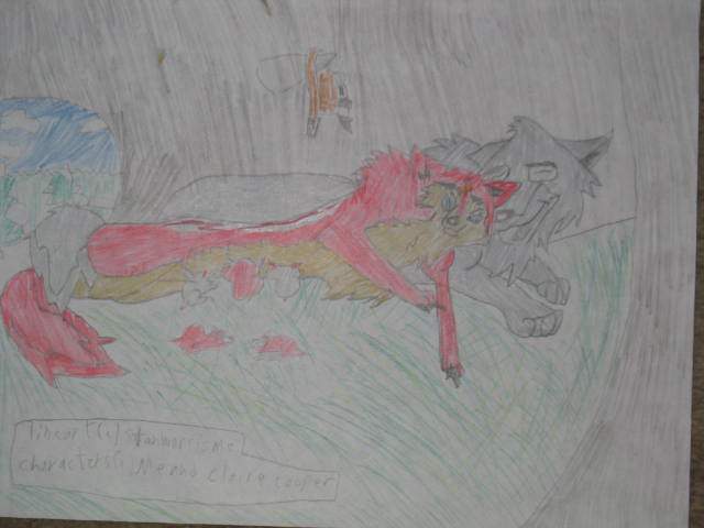 Arcanine and Riku