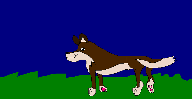 Balto at nightime