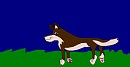 Balto at nightime